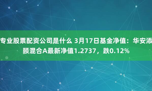 专业股票配资公司是什么 3月17日基金净值：华安添颐混合A最新净值1.2737，跌0.12%